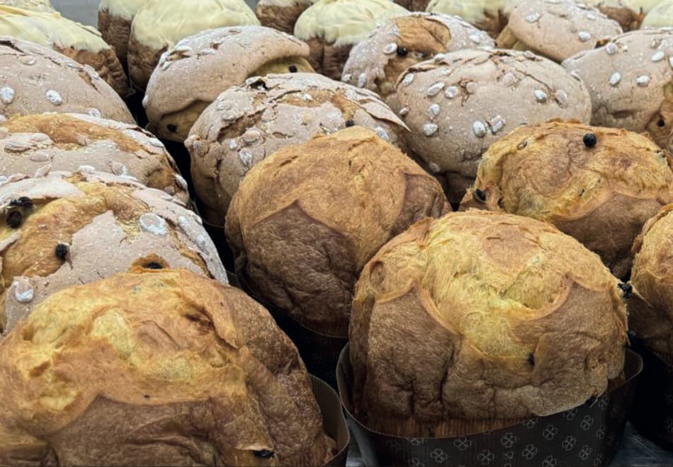 Panettone